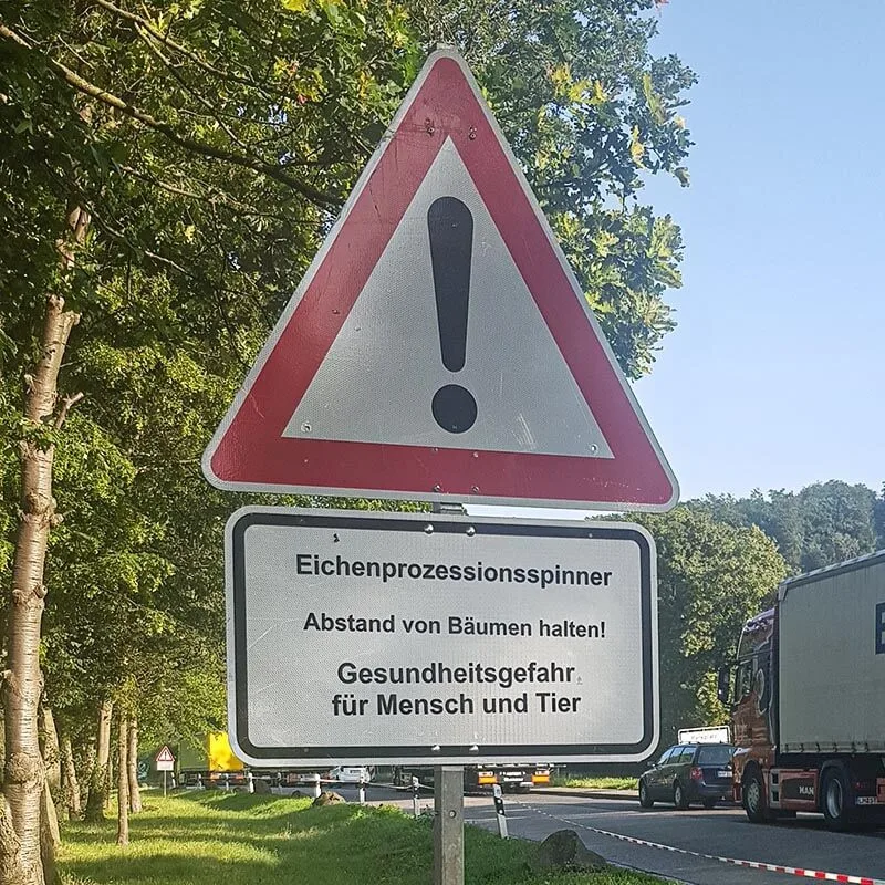 Warnschild „Achtung Eichenprozessionsspinner“ an einem Waldweg
